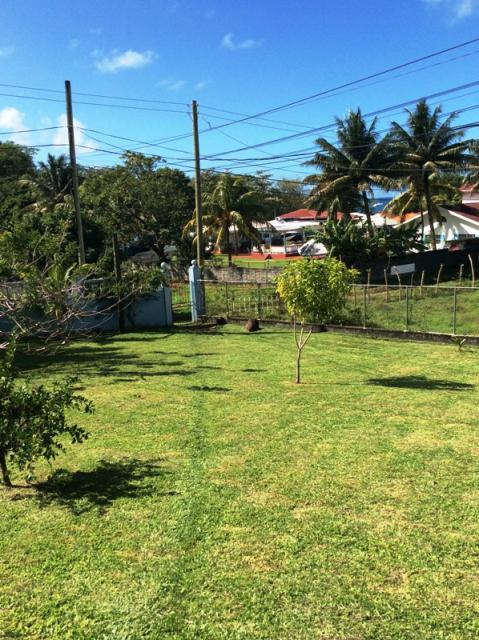 0016C63F-1C8F-0A32-5F1E-7A360166C31A_1936_269