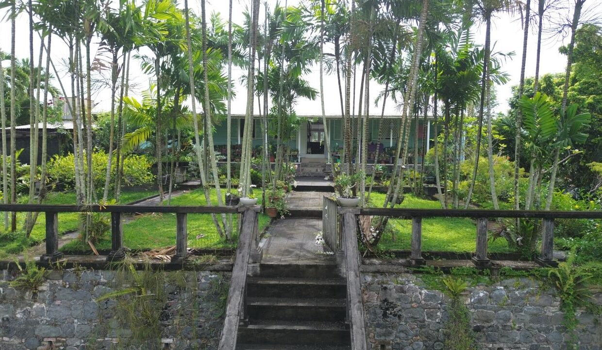 003CE257-D2EE-94A1-AAB3-10CB37AF4EA5_img_8321