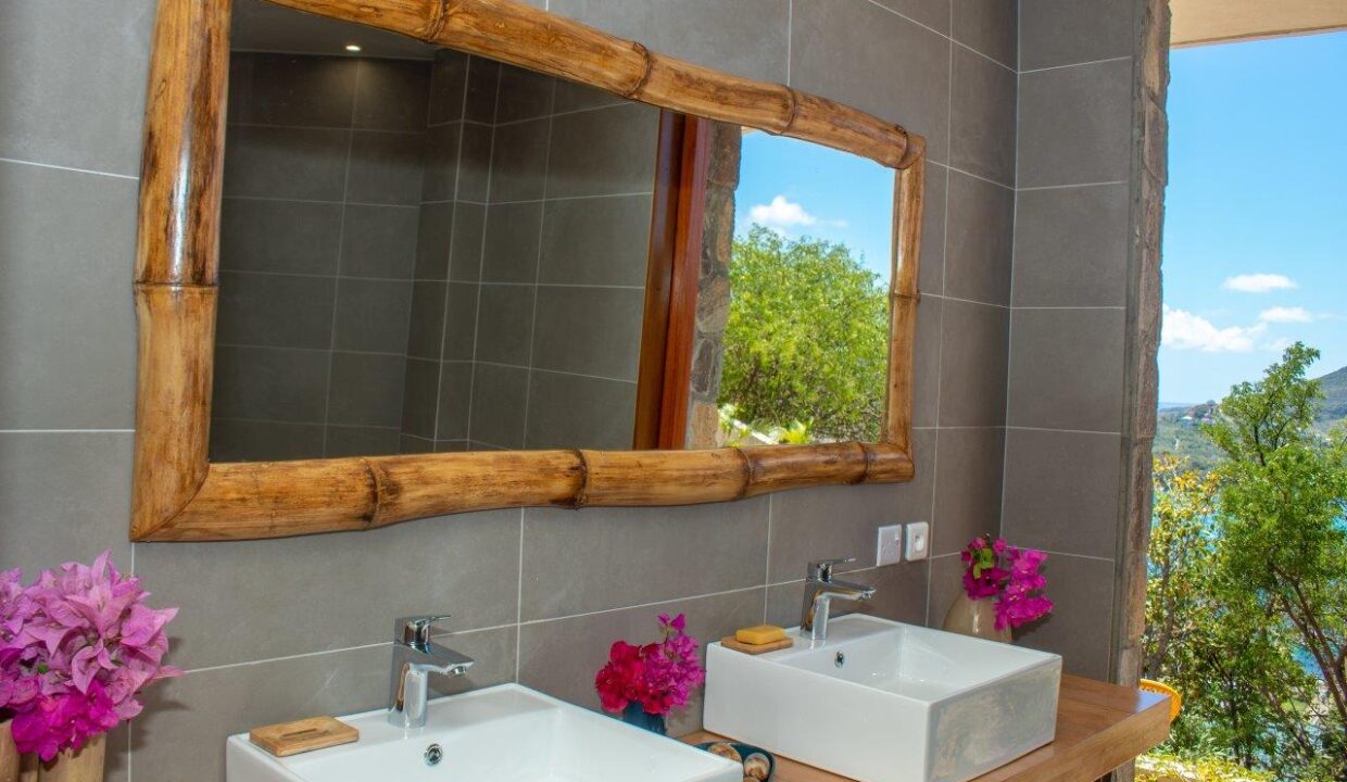 04F1FA44-A4C3-0F14-E592-7A8EEAAD21C6_Guest-downstairs-bath