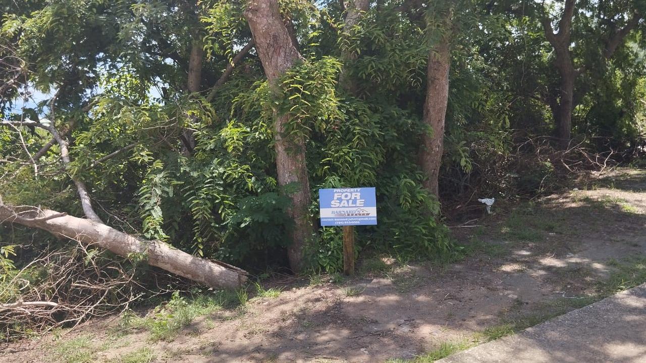 Land at Mt. Pleasant with Grenadine View