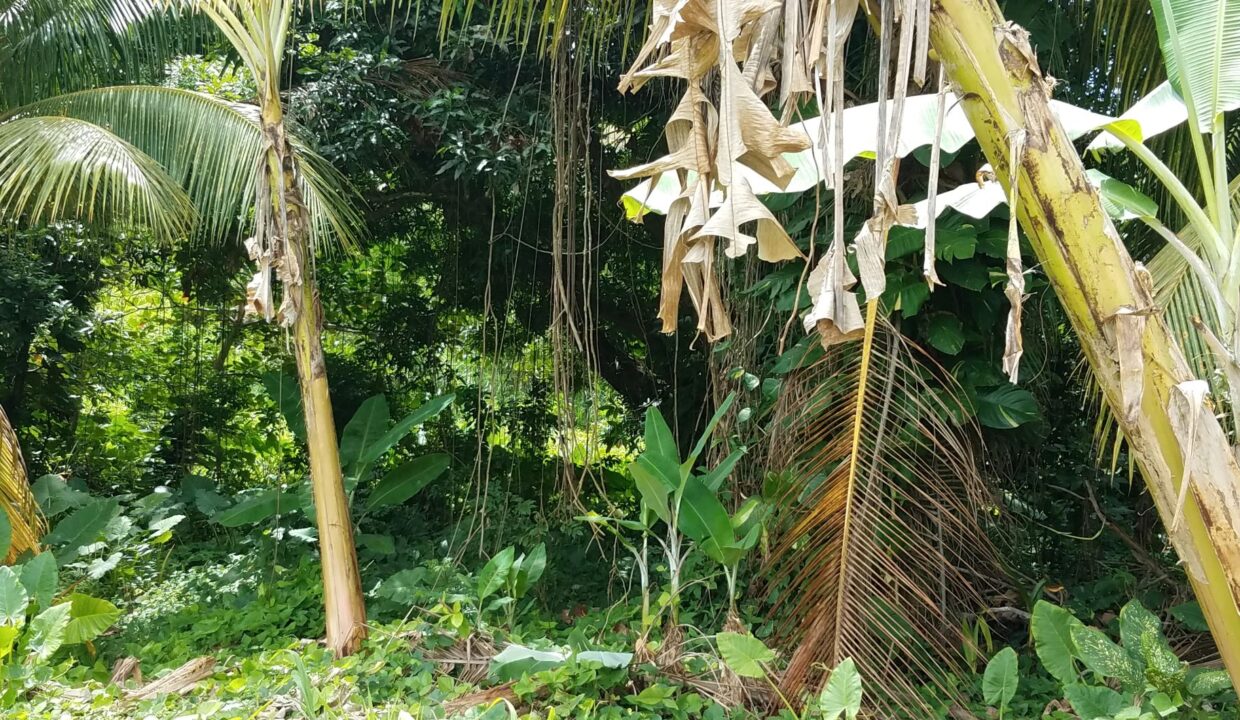 0D184323-404F-4861-B323-B441B8AE7771_la-croix4