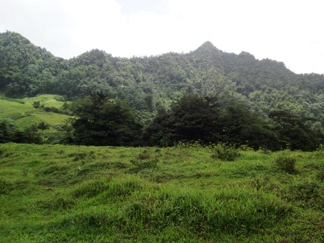 1990A50C-034F-BB55-9721-8E0E3131F31F_1518_214