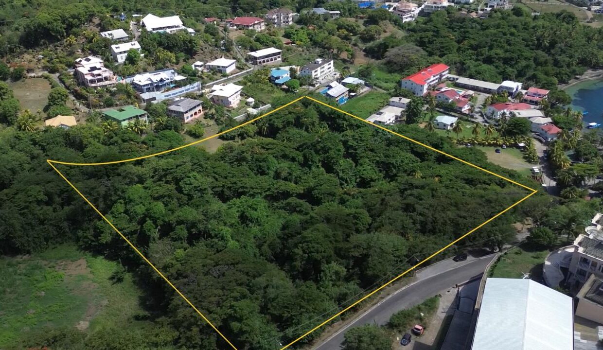 3259571C-CBBD-47DA-441D-3C37FC78697F_img_0627