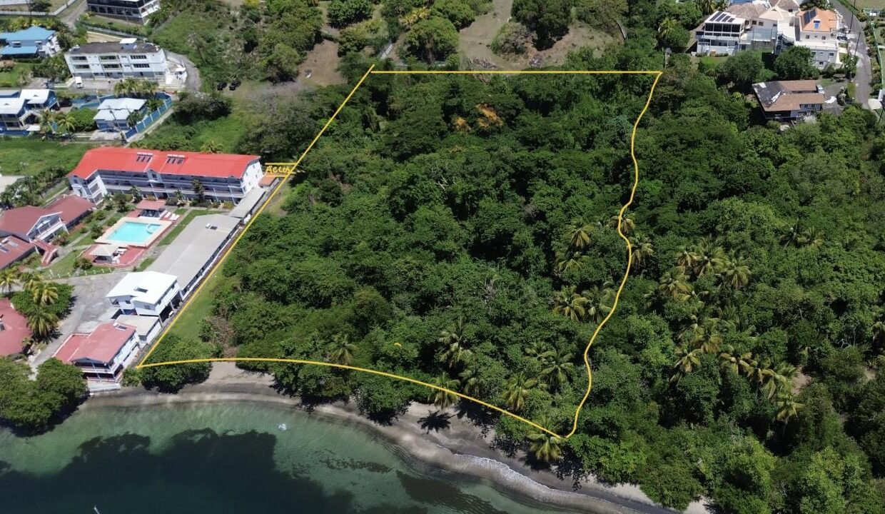 36F73580-6E6E-C8CB-8DBB-28F0F736EC07_img_0061