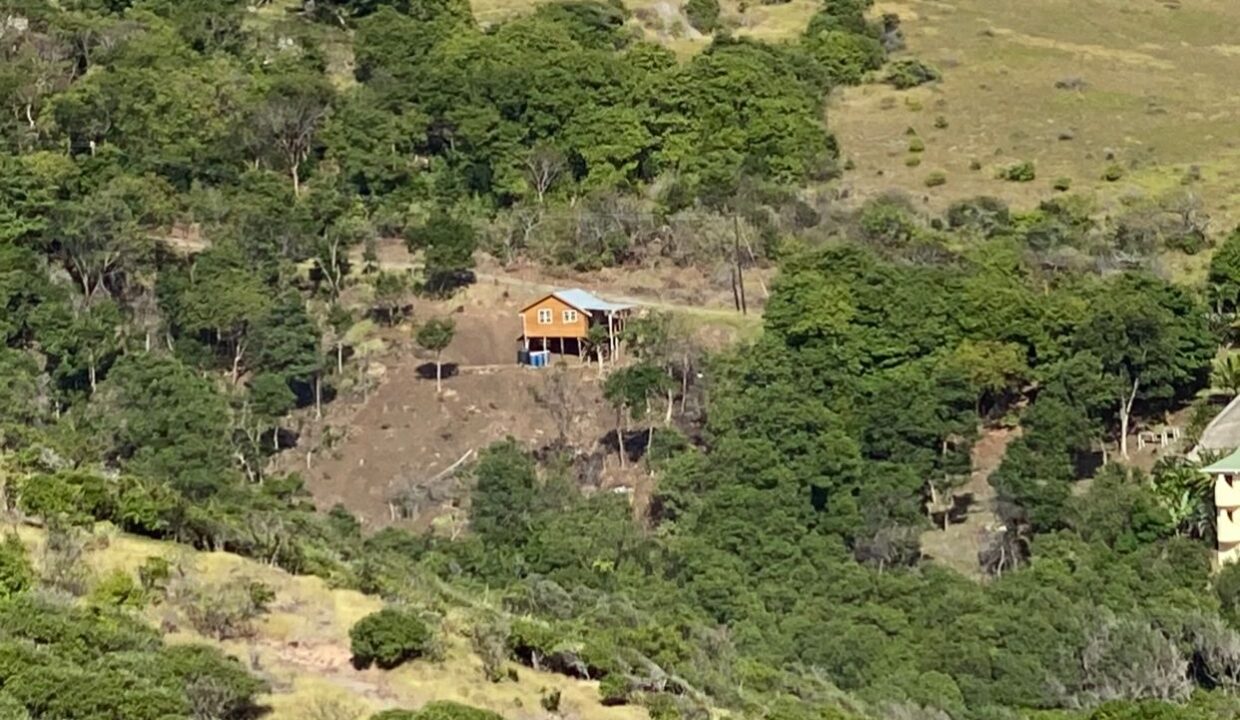 38B59556-B2D2-3D60-12F7-B04AC25F8554_IMG-20210508-WA0003