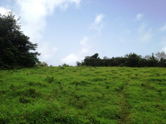 3B4B0A37-EF45-D115-C0F9-CB09D6DC9638_1520_214