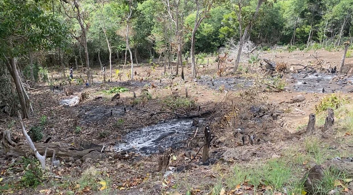 3BE097E5-EF81-7F0B-DBF0-67DFB404BA88_IMG-20210508-WA0002