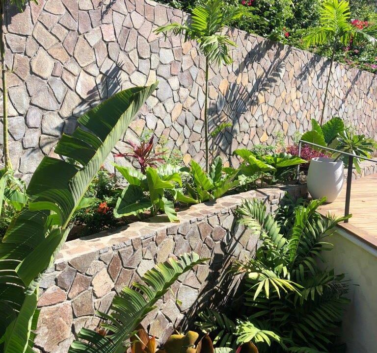 3CCE64D3-7BD5-74AF-8B54-885807B6171C_Garden