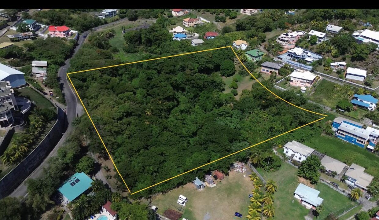 4255E970-6AB0-A20B-1824-190105AC10E1_img_0621