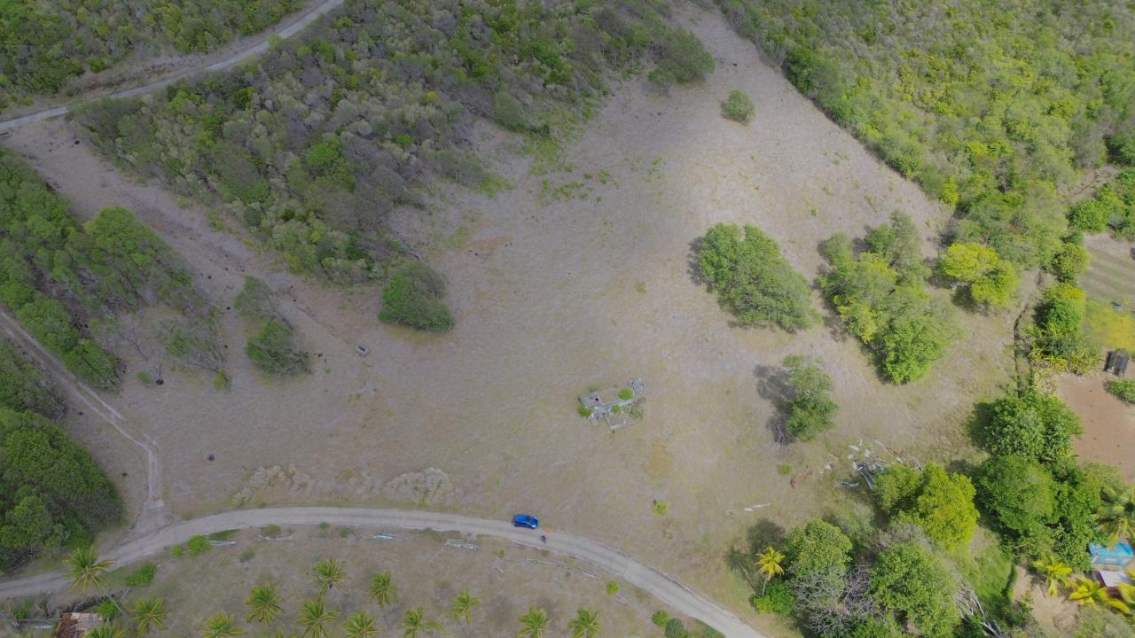 Land in Park Land in Park