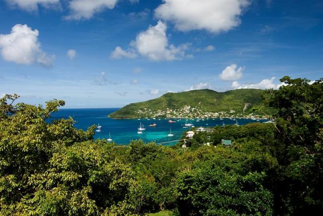 505ED106-3F36-B5E7-E528-947FC7B4FF1E_1877_260