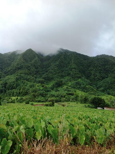 55F9F6AD-2FFE-2F68-25F9-5F05628DFD79_1710_214