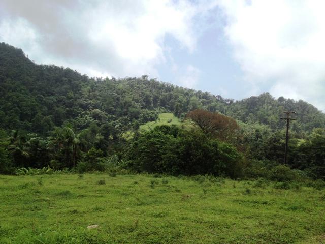 58CC4762-46A9-467F-C8F2-73C466B30CA8_1524_214