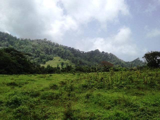 Montreal Land Montreal Land