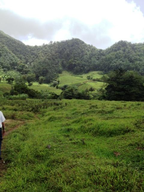 60FDF040-13E5-DE63-485E-C6919E217A11_1519_214