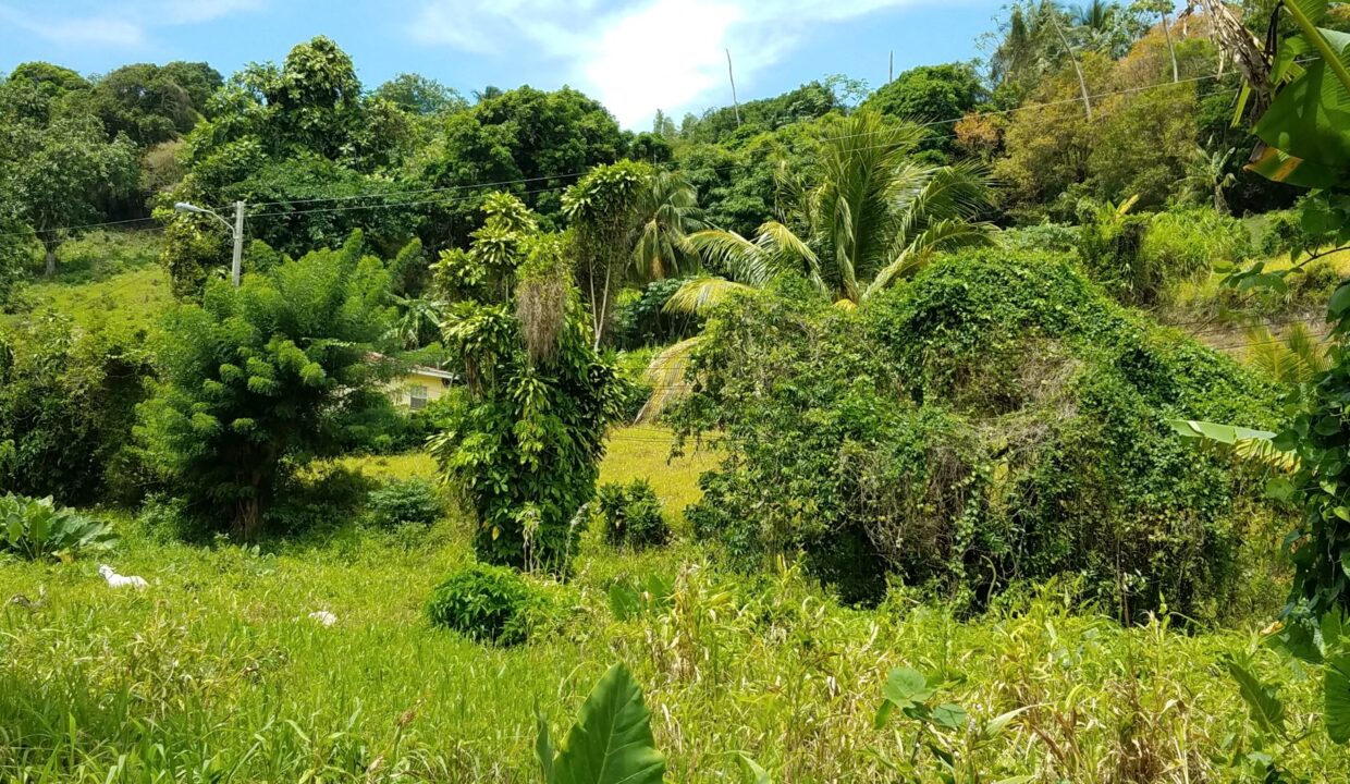 678A2857-1CC9-7BD5-CF37-FD9B6801BCB7_La-croix2