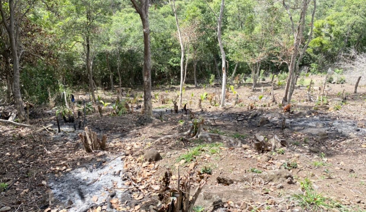 67AD05CF-8F49-DE9C-642D-417FE7F879AF_IMG-20210508-WA0001