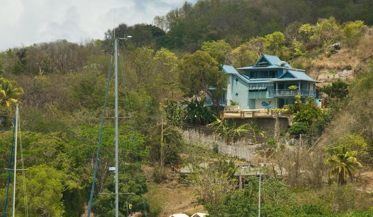 680262C0-FDFF-445E-F223-9D1430695371_sob-5