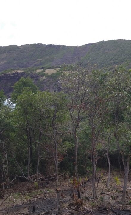 6F18D1D3-197B-CA55-F636-5A62C88E8F90_old-fort-estate-2_808_440