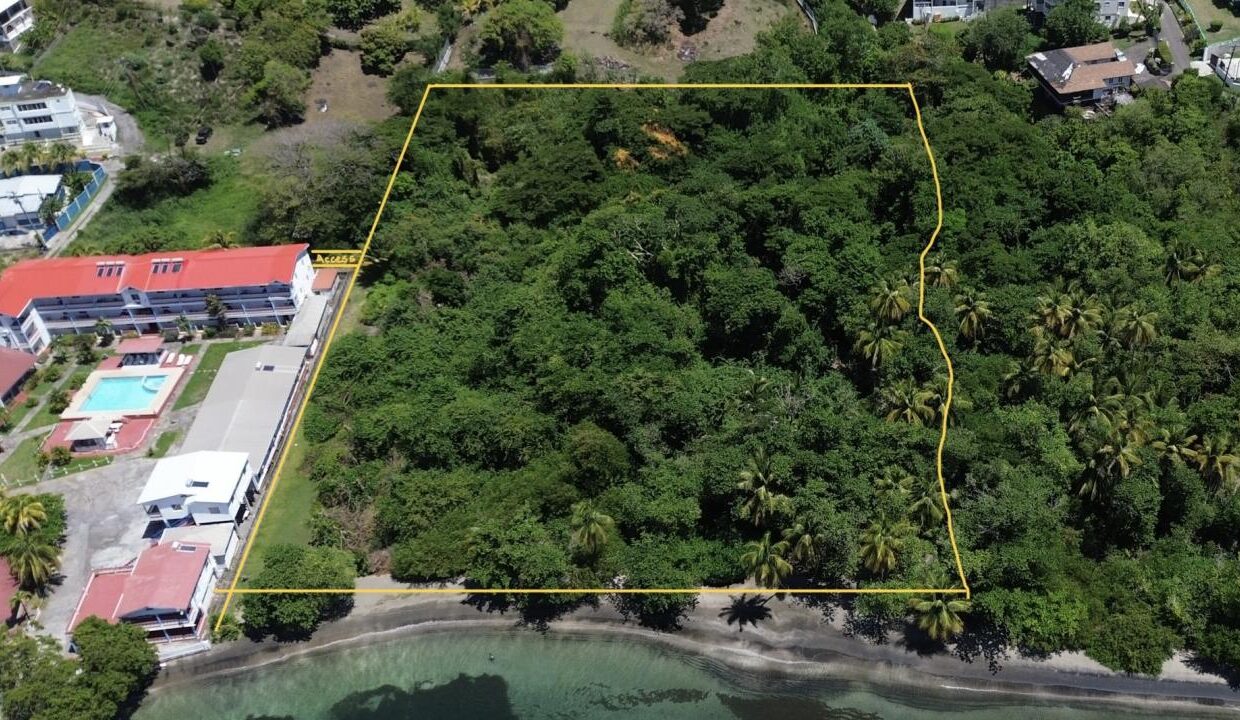 777888A5-826C-C1B7-C122-4799CD6348E7_img_0063