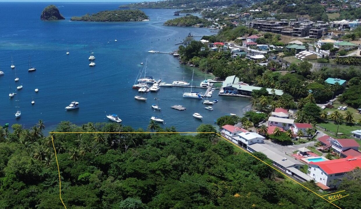 78EB9EFC-4D96-288C-A662-2696CA472076_img_0049