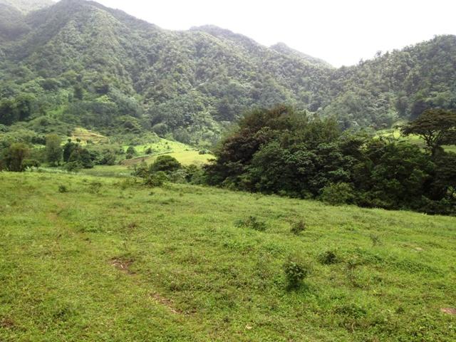 78F74899-DA80-E521-E5AE-D0FA05B2BBC0_1521_214