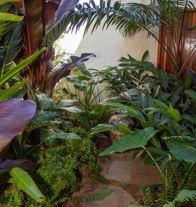 861A5624-F191-A0B5-B6E4-1053BF8627FD_Garden-2