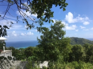 Cinnamon Hill Cinnamon Hill