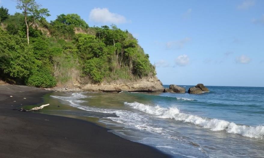 92FA2CF5-68A5-2D52-C772-1E3D68609F29_River-3