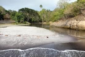 99510803-0EAC-CCB7-9460-EE073DA5B379_River-5