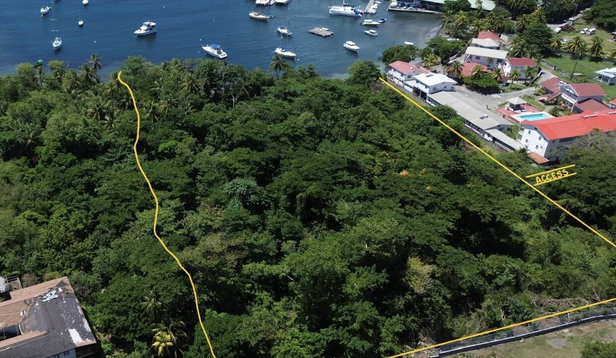 BEFD7CB4-D4C6-F41F-0D5D-D90A7D0A7BD1_img_0050