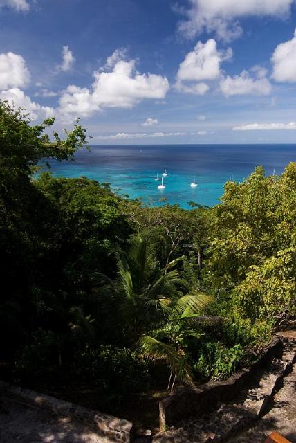 C1F39A02-30C6-03C8-DE22-3706608D5D05_1878_260