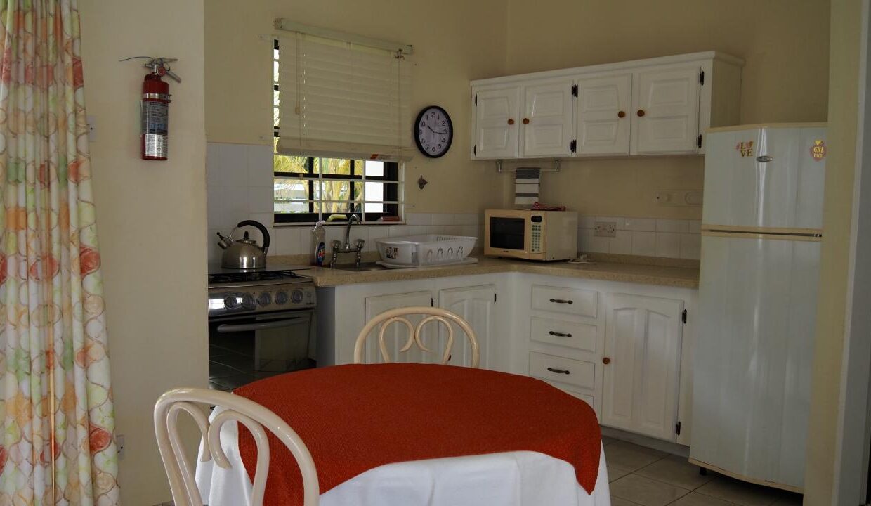 C5833F31-5A62-28EE-D951-724FD891ADEC_kitchen-1