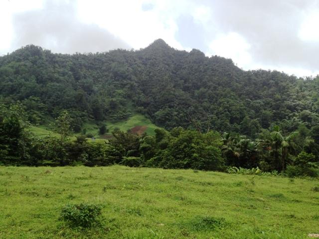 CC5F64BD-7A61-C810-FABF-1968D5425F2E_1522_214