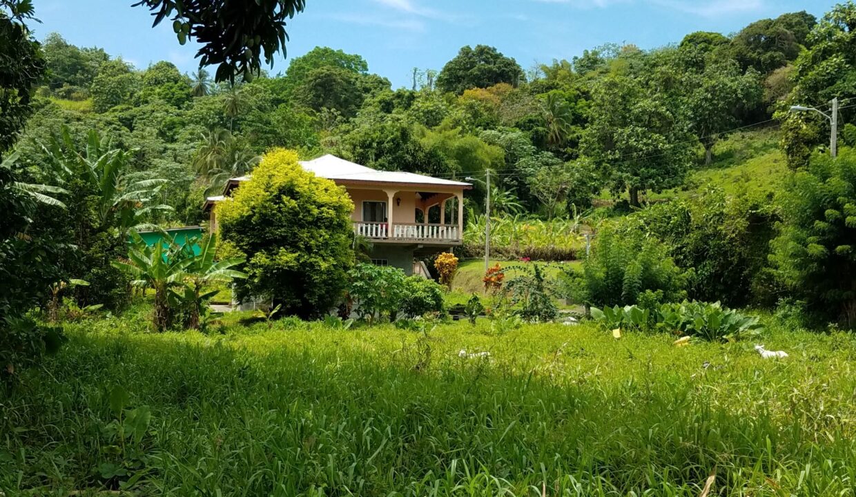 CC79B4C4-D5F1-9040-18C4-299E595A4873_La-croix