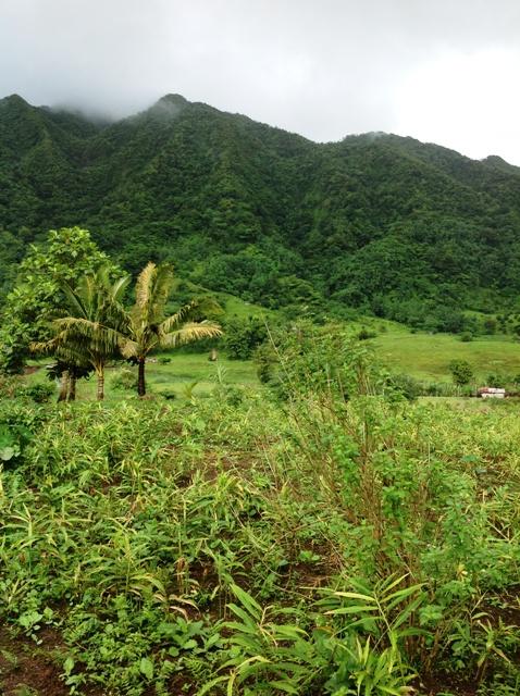 CD5E4FA2-5DA4-7527-6F7D-B4AB30D22DE6_1711_214