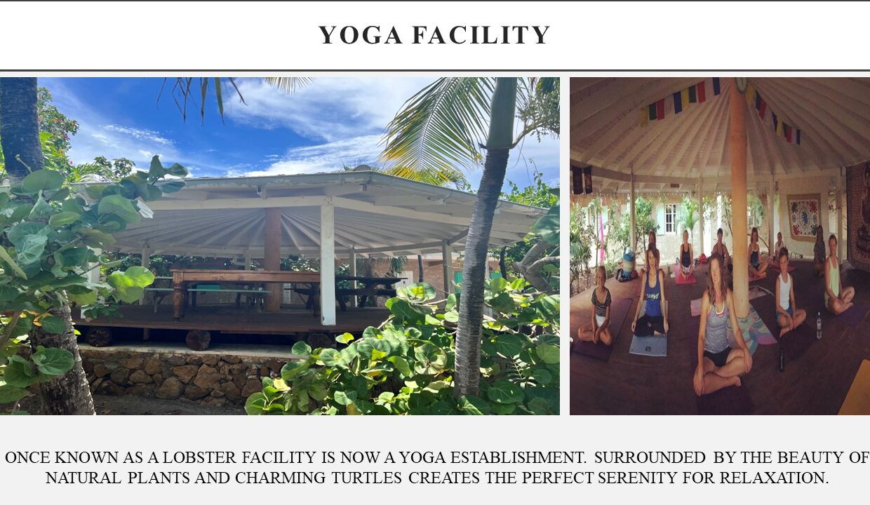 CD6560C4-CF69-65F9-E60B-798FF66B9518_Slide9