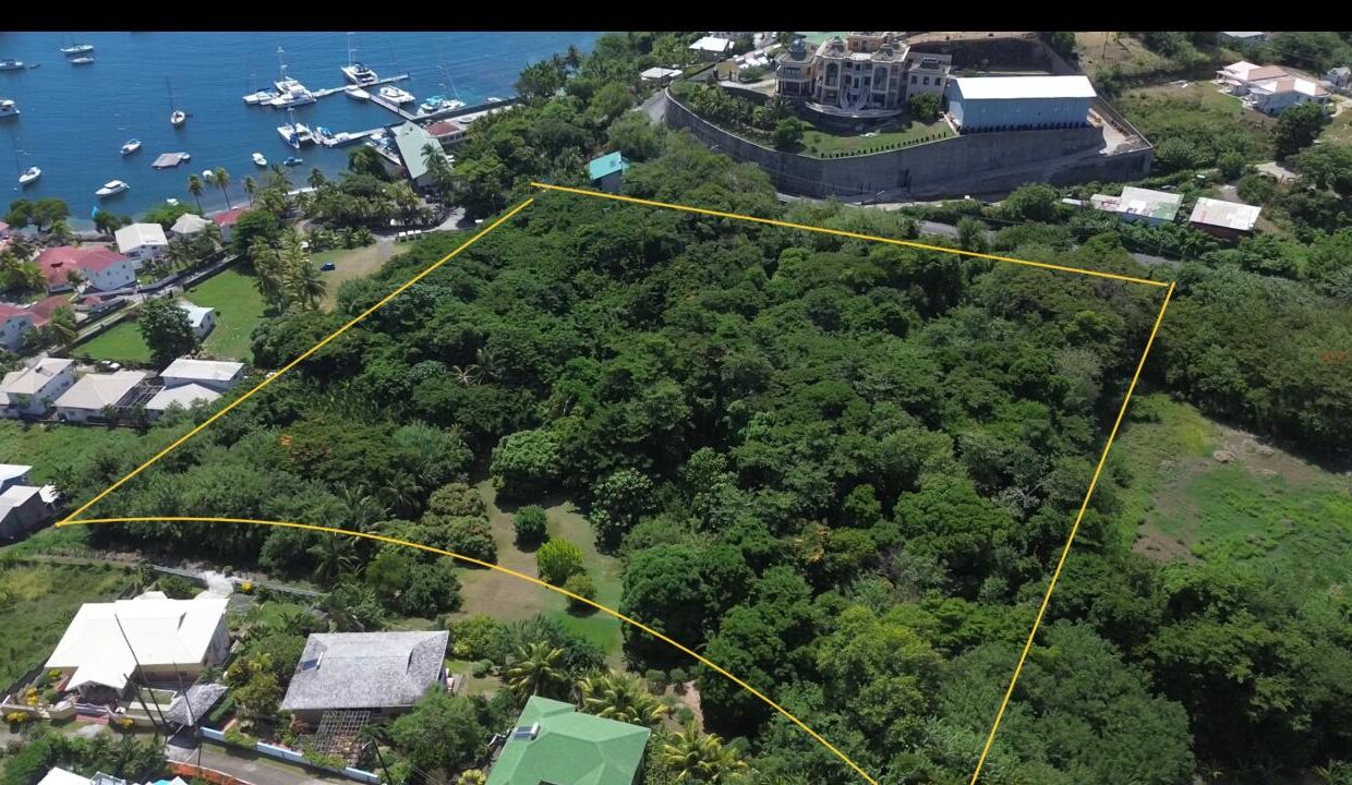 D9586250-62EF-BC8F-1BF4-1E5EBBE39A70_img_0624