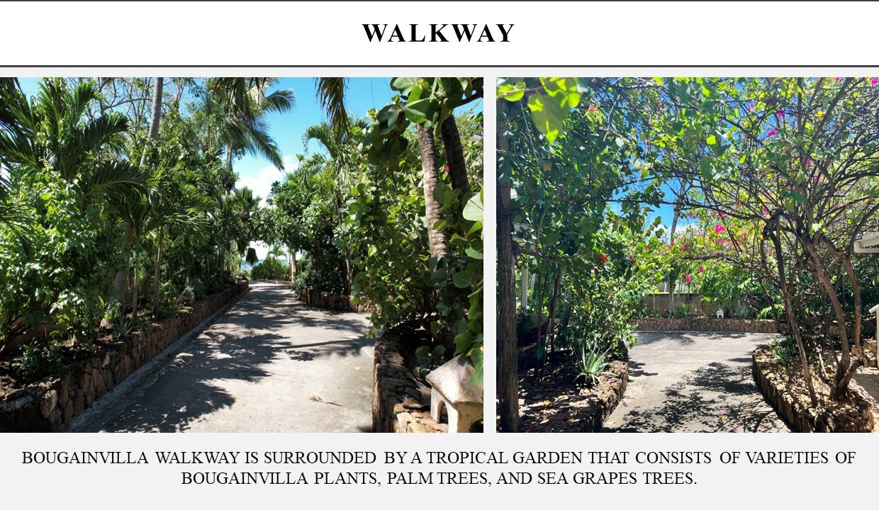 D9F65522-4F7C-057F-0F63-C632D183C707_Slide4