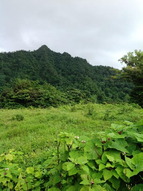 ED729C69-6B6A-E4A7-6F9B-0D24ABFBF2BA_1712_214