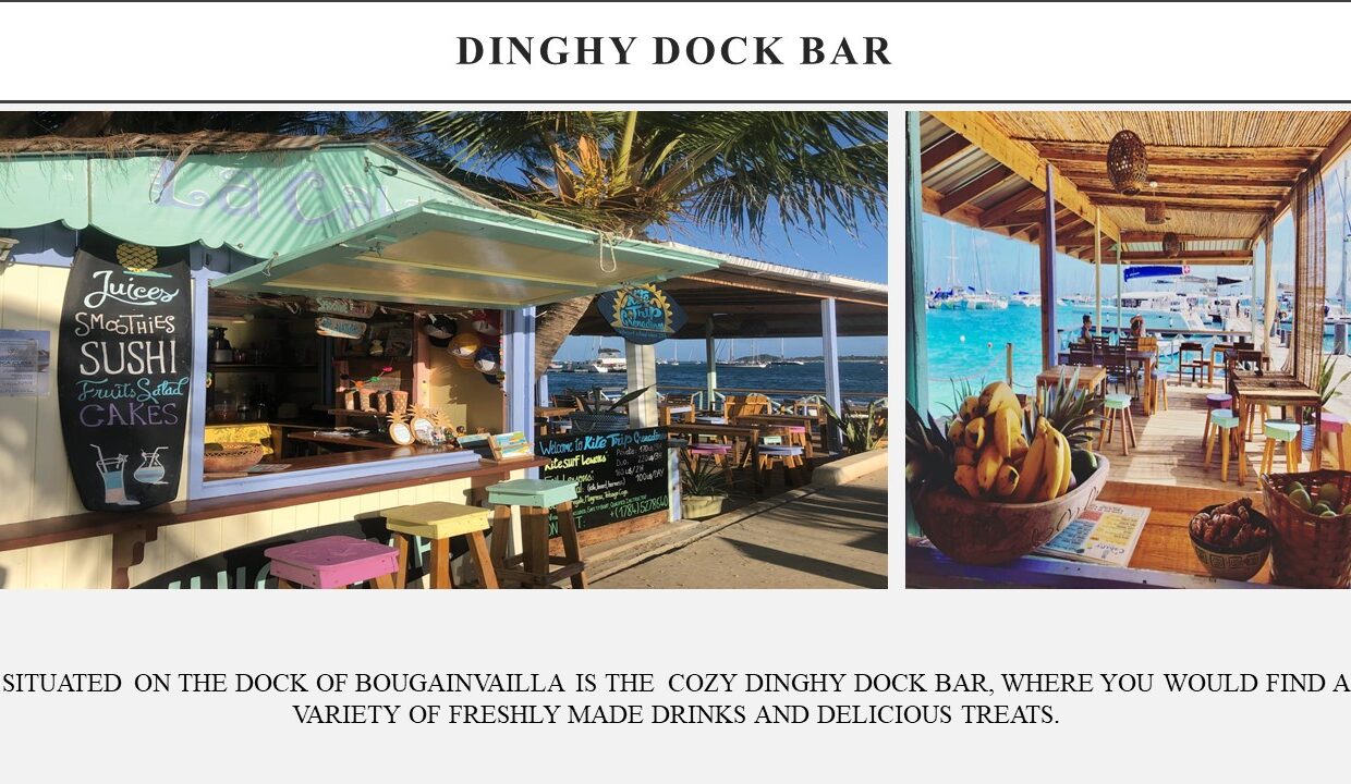 F6DCA579-3062-C0F4-2B80-D84D4C34B666_Slide17